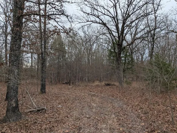 $55,000 | 179 Rs County Road 2572, Alba, TX 75410