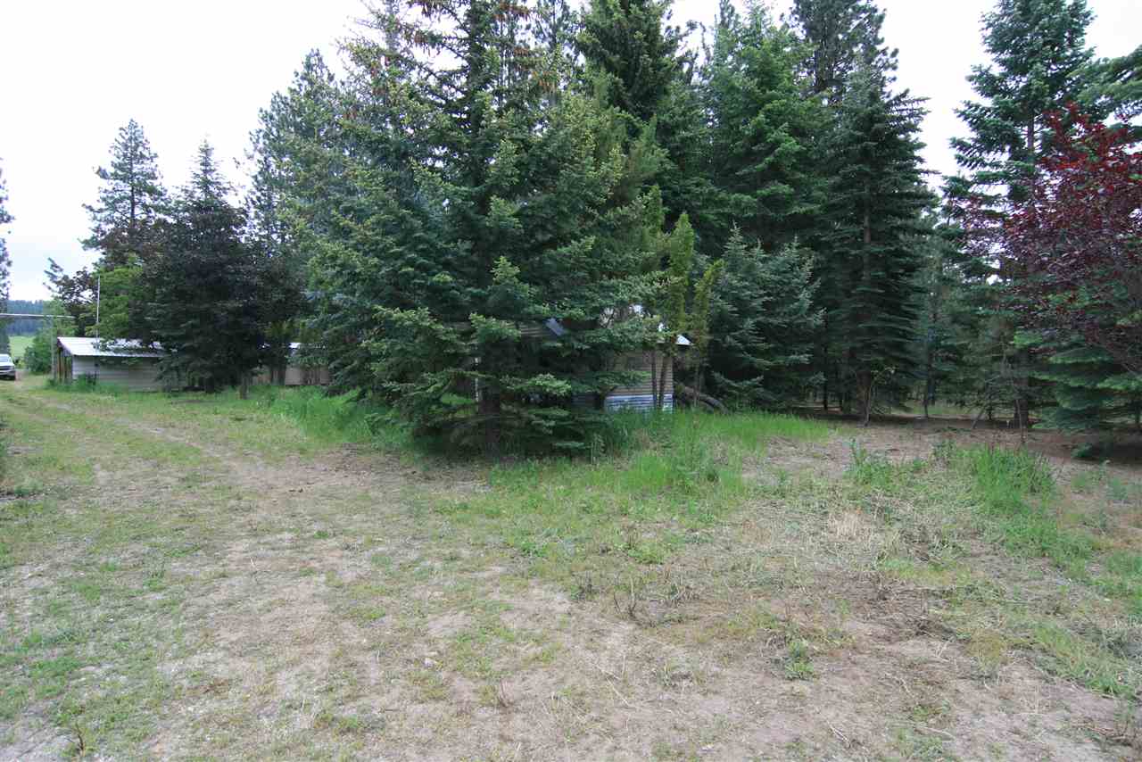7405 North Adams Road Spokane, WA 99217 - Photo 8 of 14