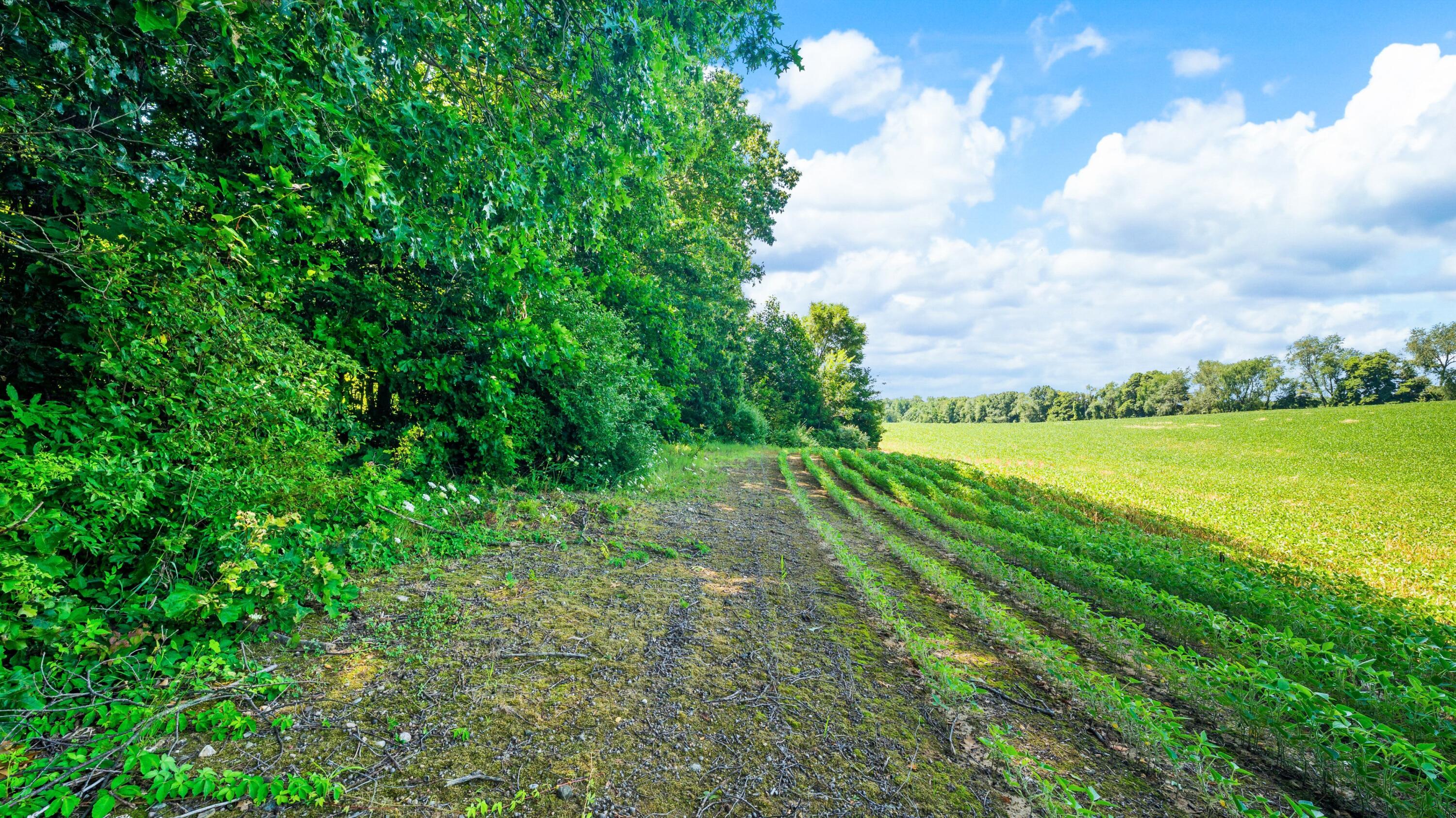 12753 Bliss Road Marcellus, MI 49067 - Photo 31 of 45 27DSC_2546