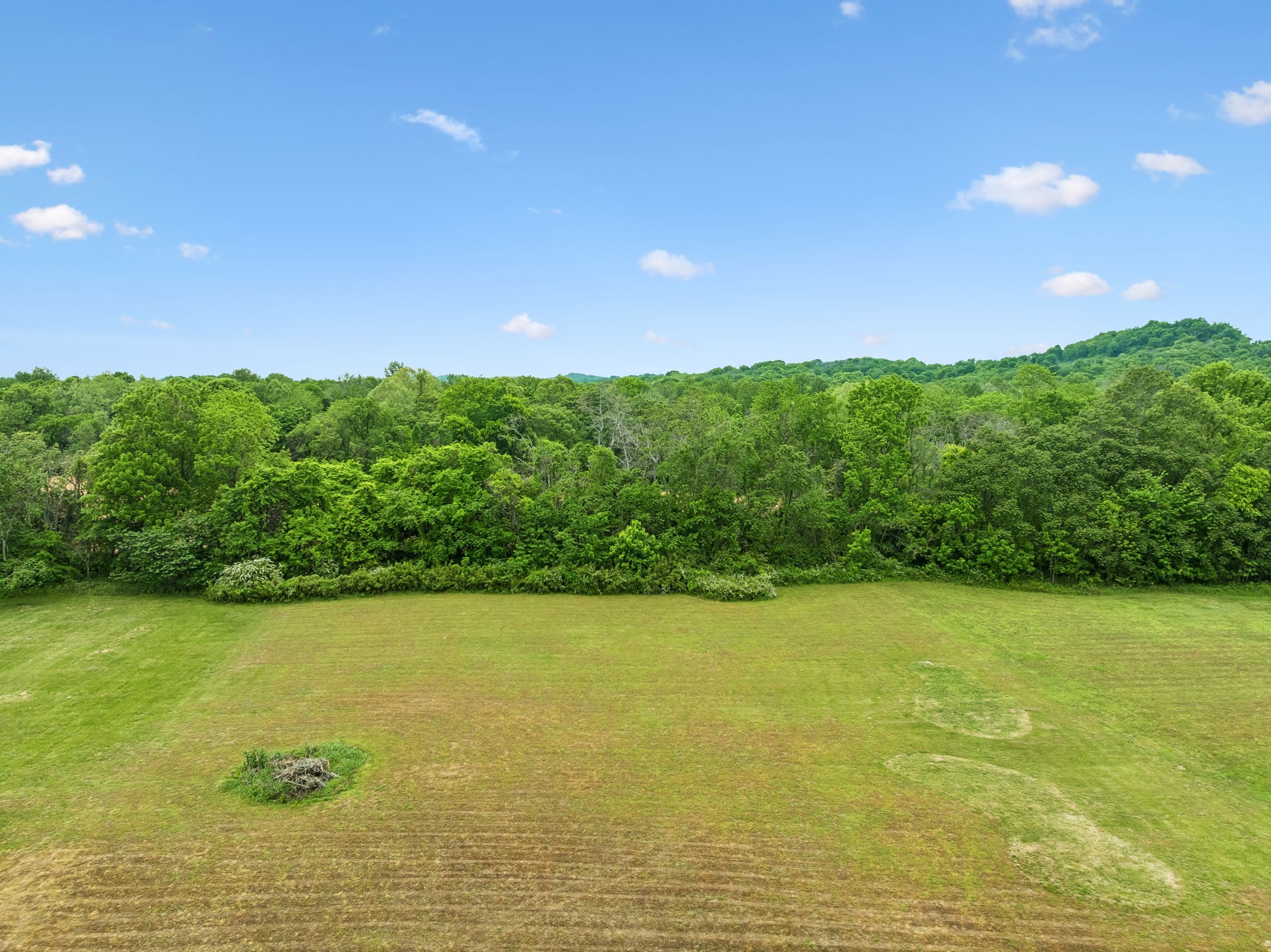 1930 Rock Springs Road Columbia, TN 38401 - Photo 90 of 100