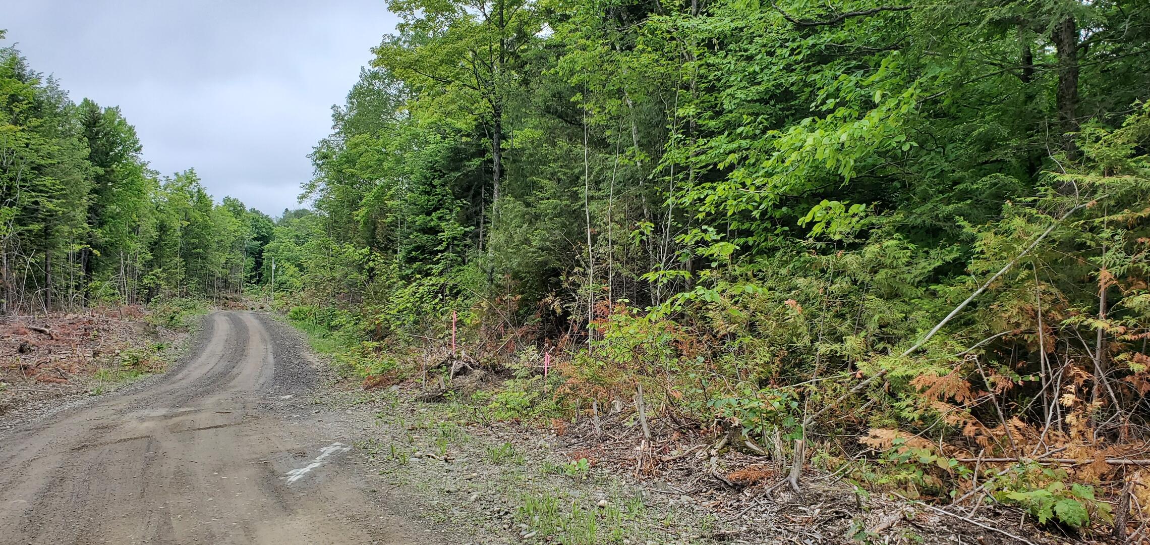 Lot # Off Brown Road Oakfield, ME 04763 - Photo 7 of 7 Screenshot_20210616-072452_Photos
