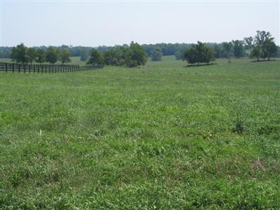 1 Craig Lane Georgetown, KY 40324 - Photo 2 of 3 Photo 2