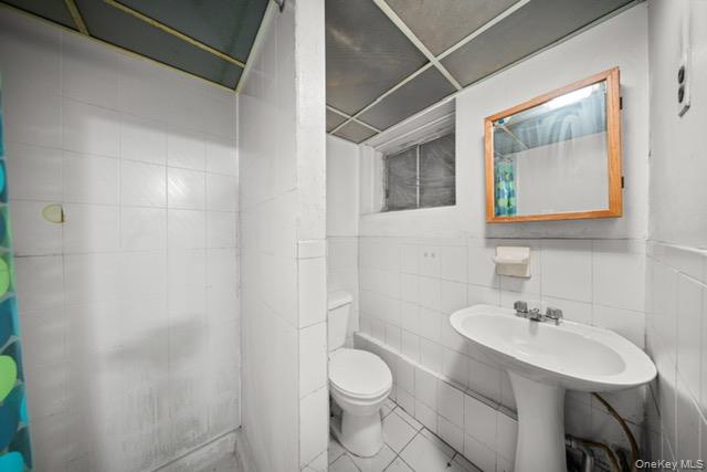 41-71 Gleane Street Queens, NY 11373 - Photo 7 of 28 a bathroom with a toilet a sink and mirror
