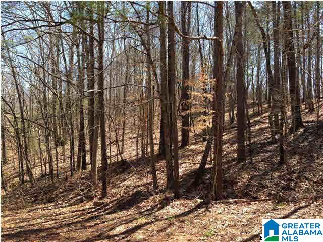 0 Woolfolk Road, Unit 3 ACRES Munford, AL 36268 - Photo 18 of 24