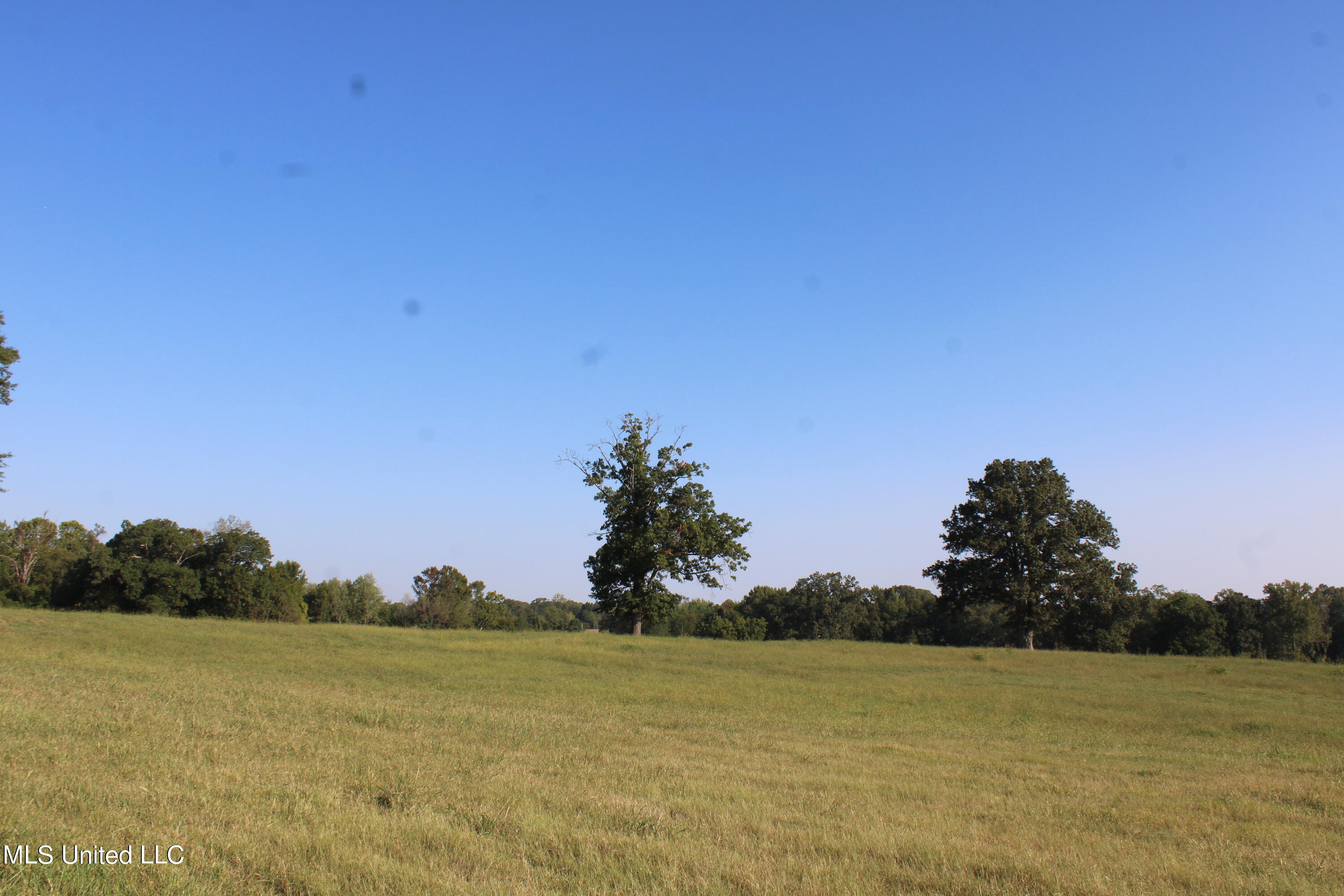 480 Myers Road Byhalia, MS 38611 - Photo 8 of 31 IMG_4648