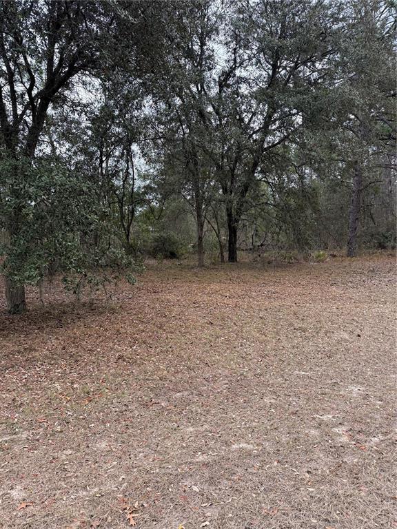 Southwest 135th Loop Ocala, FL 34473 - Photo 6 of 7 Gallery Image 6