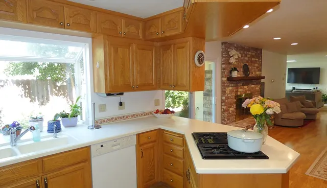 a kitchen with a sink and a potted plant