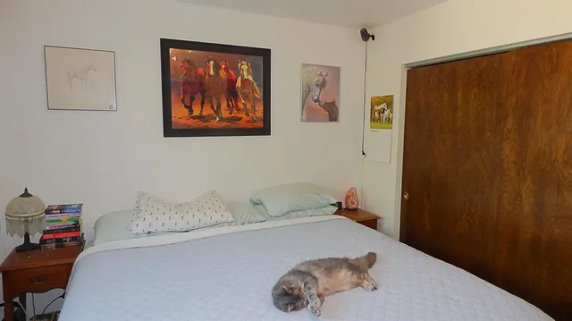 a bathroom with a sink and a shower