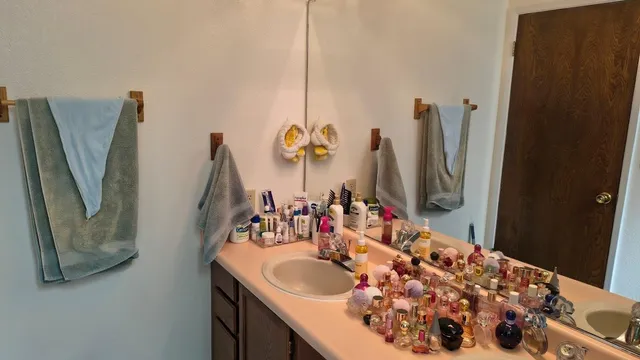 a bathroom with a sink vanity and a mirror