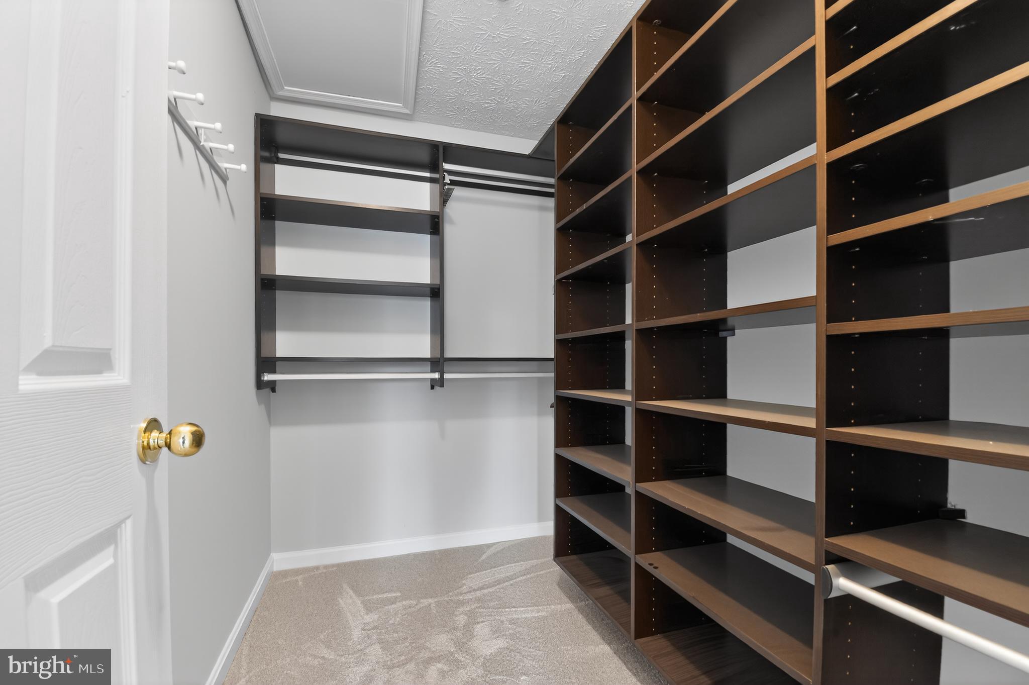 2058 Quaker Way, Unit 12 Annapolis, MD 21401 - Photo 7 of 27 a view of walk in closet with empty racks