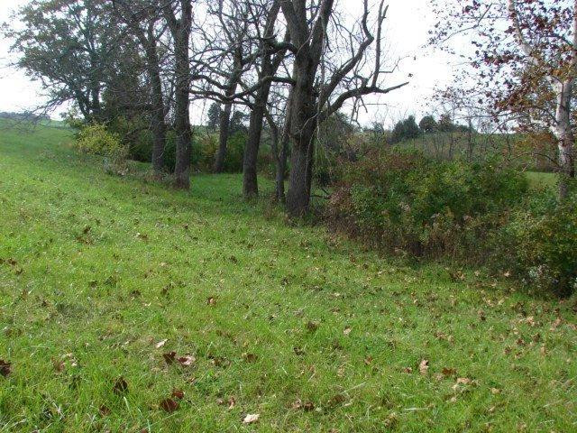 0 East Ralph Parks Road Richmond, KY 40475 - Photo 17 of 37 Photo 17