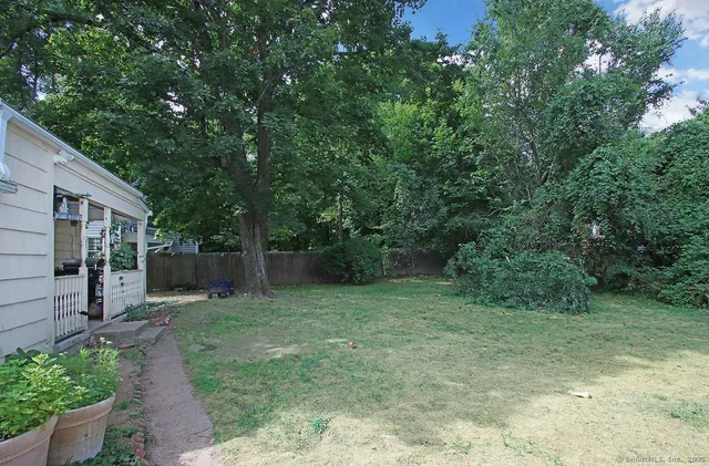 a view of a lush green space