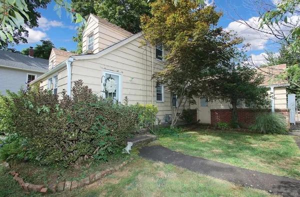 a view of a yard with plants and large trees