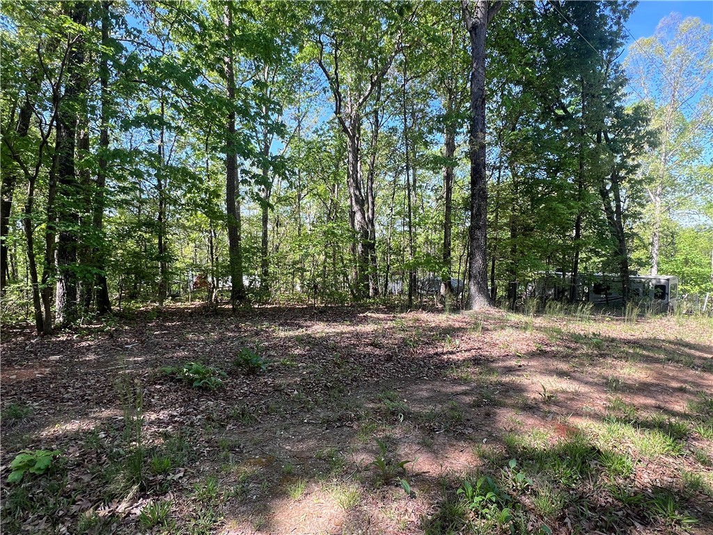 118 Brandy Hill Road Fair Play, SC 29643 - Photo 3 of 7 Level Lot