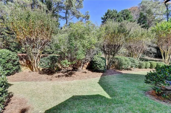 a view of a yard with plants and trees