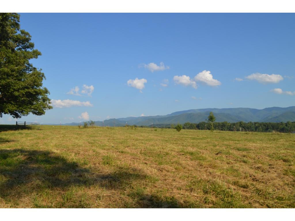 0 Bill Jones Road Afton, TN 37616 - Photo 8 of 12 Photo 8