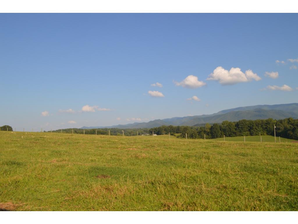 0 Bill Jones Road Afton, TN 37616 - Photo 10 of 12 Photo 10