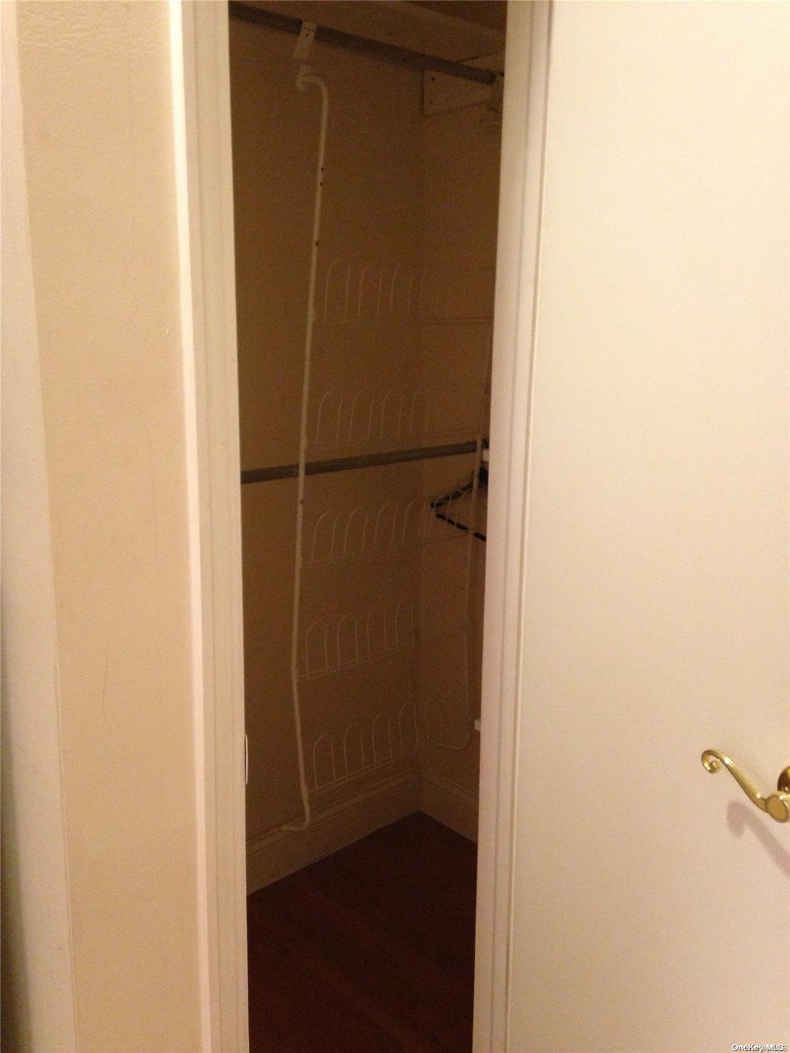 15 Canterbury Road, Unit C13 Great Neck, NY 11021 - Photo 10 of 12 a view of closet