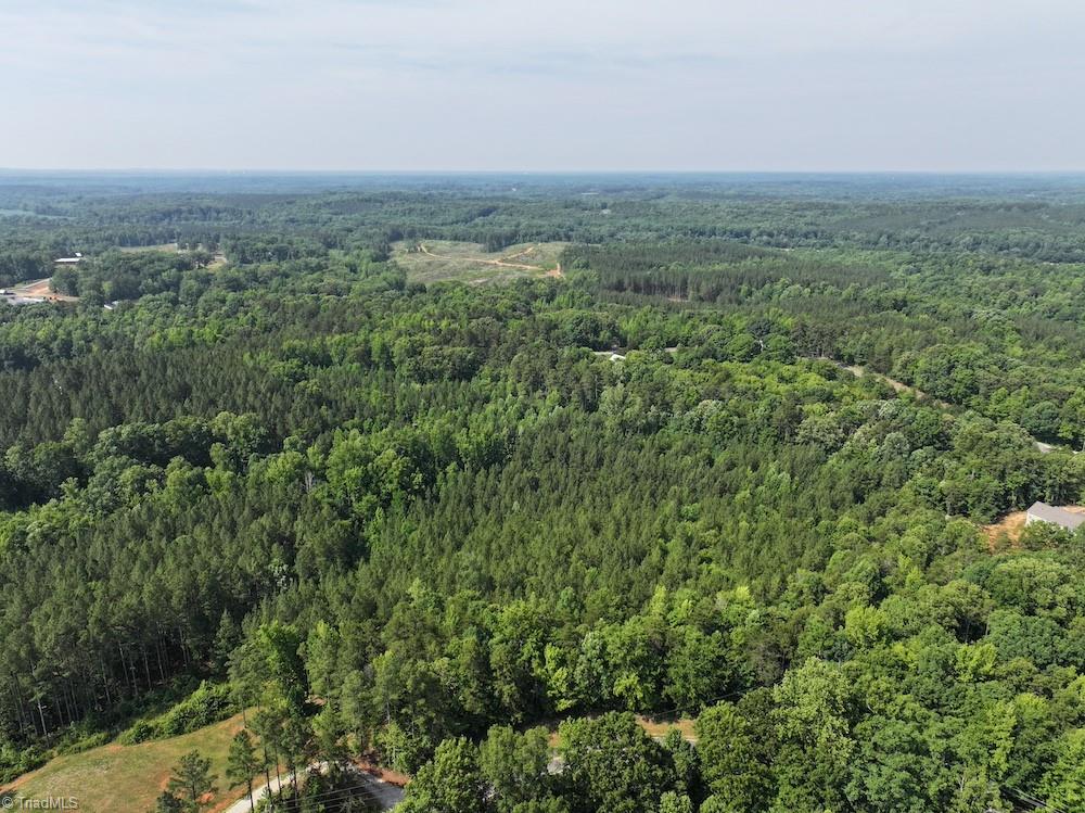 1048 North Goat Pasture Road Lexington, NC 27295 - Photo 10 of 11
