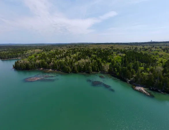 $130,000 | Lot 15 Collins Cove Road, Machiasport, ME 04655