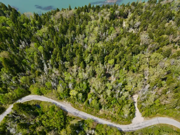 $130,000 | Lot 15 Collins Cove Road, Machiasport, ME 04655