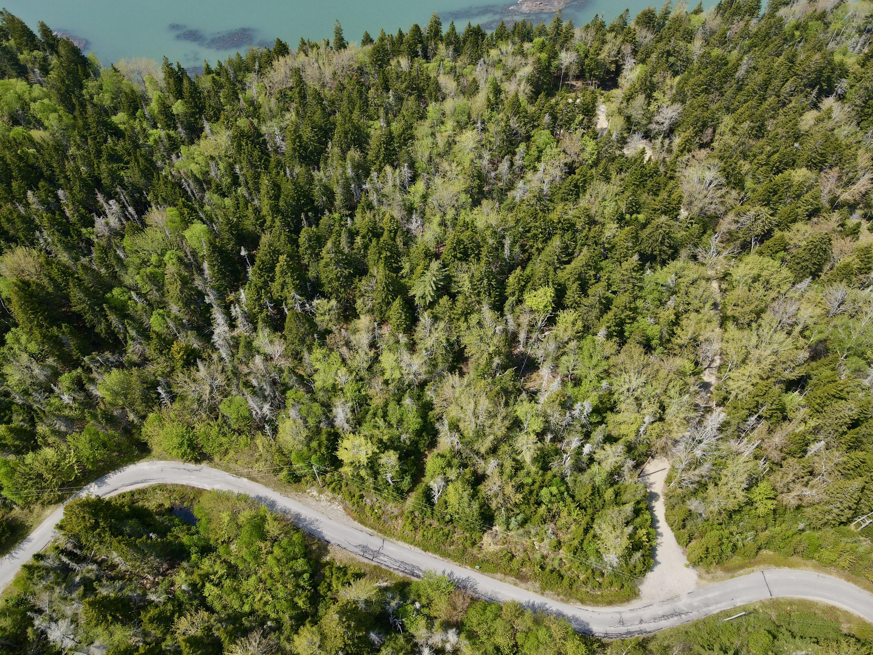 Lot 15 Collins Cove Road Machiasport, ME 04655 - Photo 4 of 17 dji_fly_20240523_104438_924_171647571906