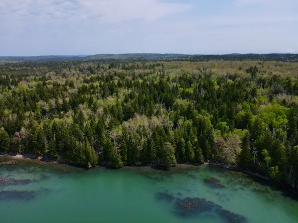 $130,000 | Lot 15 Collins Cove Road, Machiasport, ME 04655