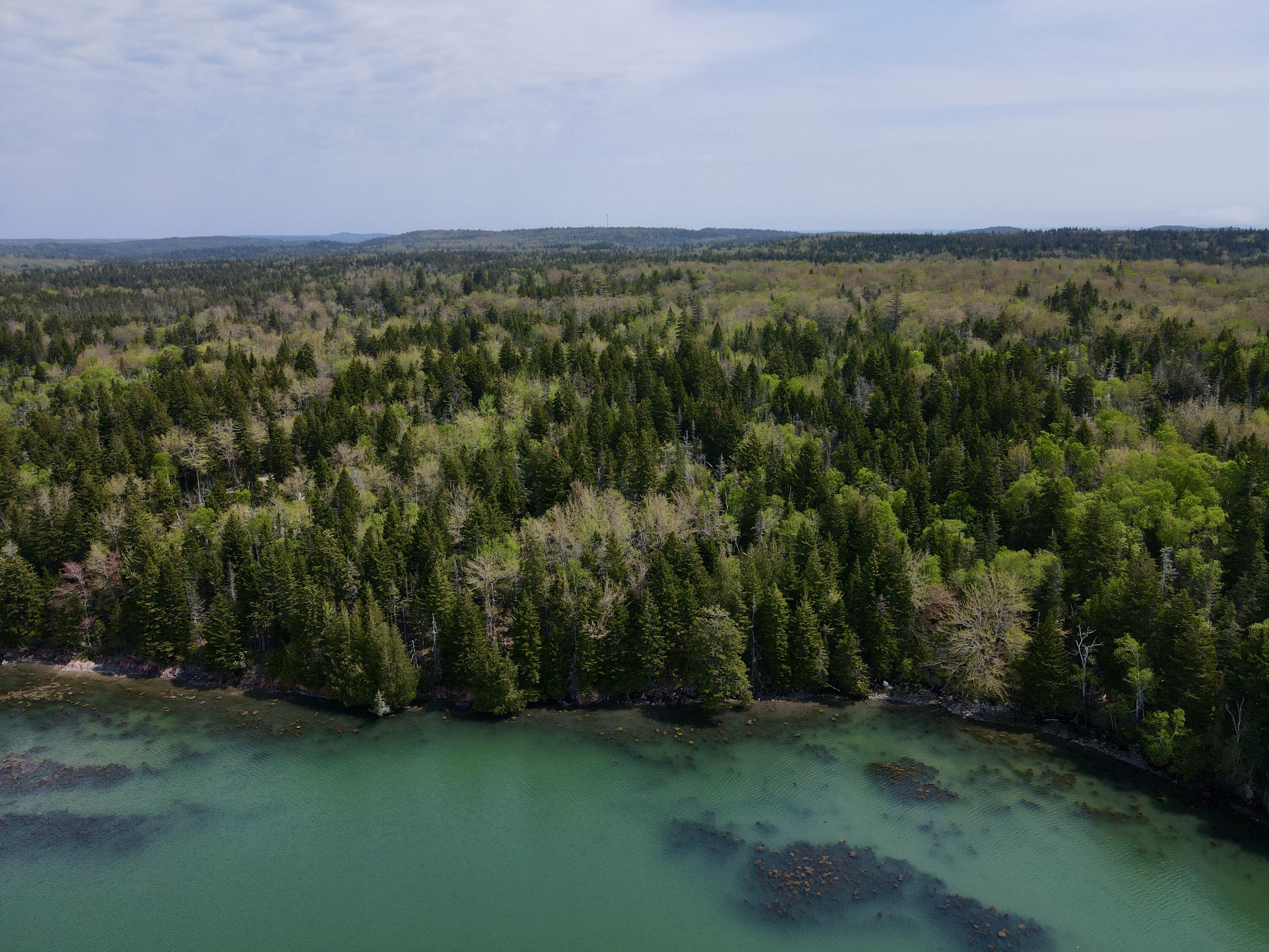 Lot 15 Collins Cove Road Machiasport, ME 04655 - Photo 5 of 17 dji_fly_20240523_104632_931_171647579539