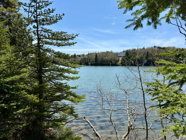 $130,000 | Lot 15 Collins Cove Road, Machiasport, ME 04655