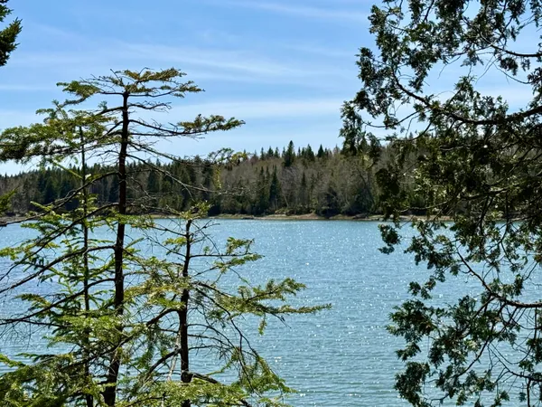 $130,000 | Lot 15 Collins Cove Road, Machiasport, ME 04655