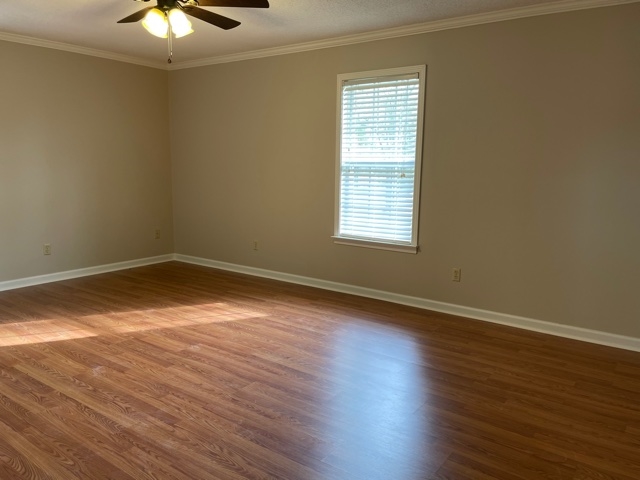 1480 Charleston Road Stanton, TN 38069 - Photo 13 of 20 Gallery Image 13
