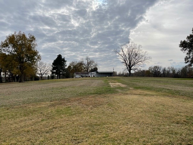 1480 Charleston Road Stanton, TN 38069 - Photo 20 of 20 Gallery Image 20