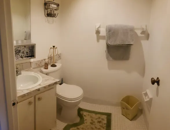 a bathroom with a sink toilet and vanity