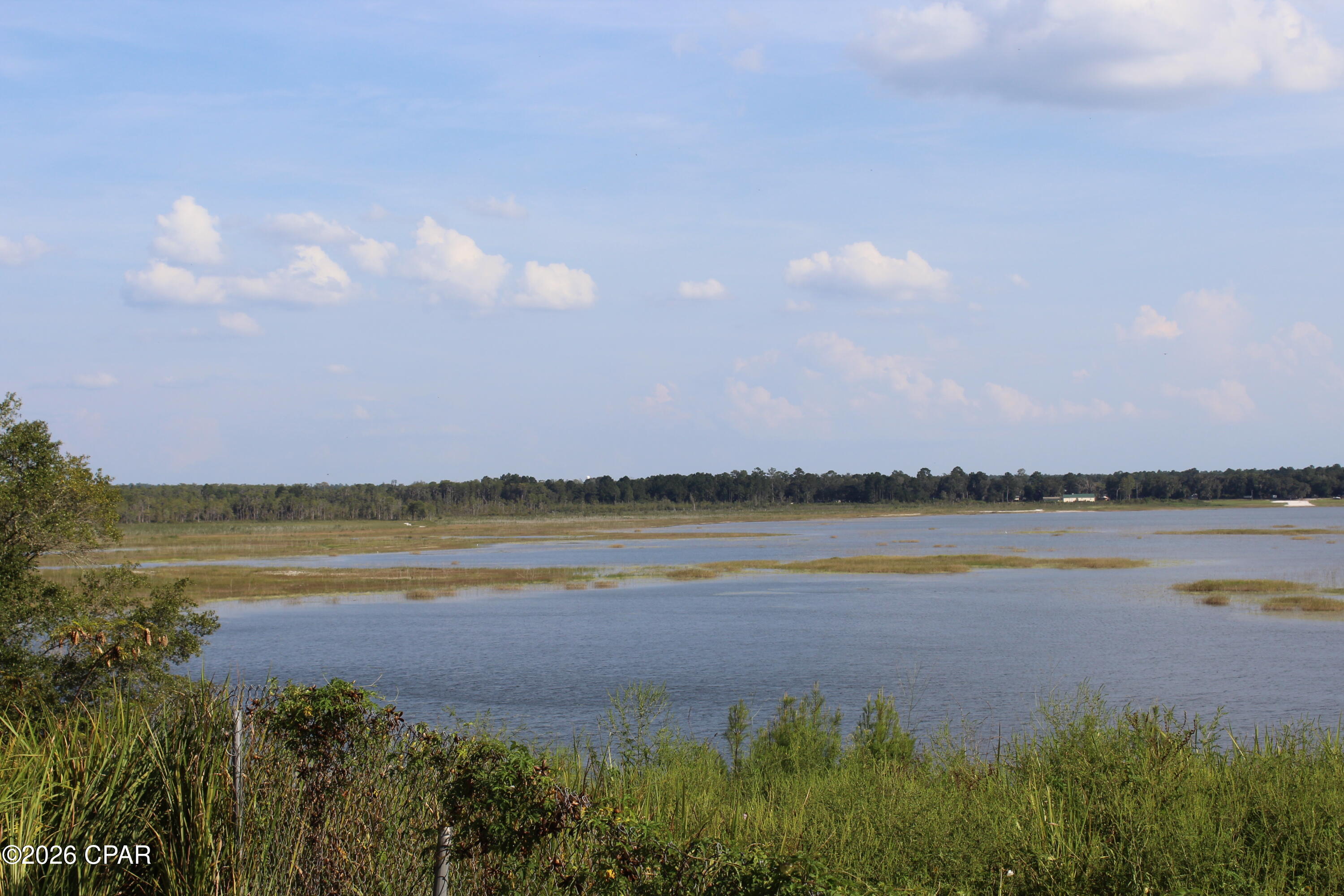Tbd New Jerusalem Road Vernon, FL 32462 - Photo 15 of 21 Gallery Image 15