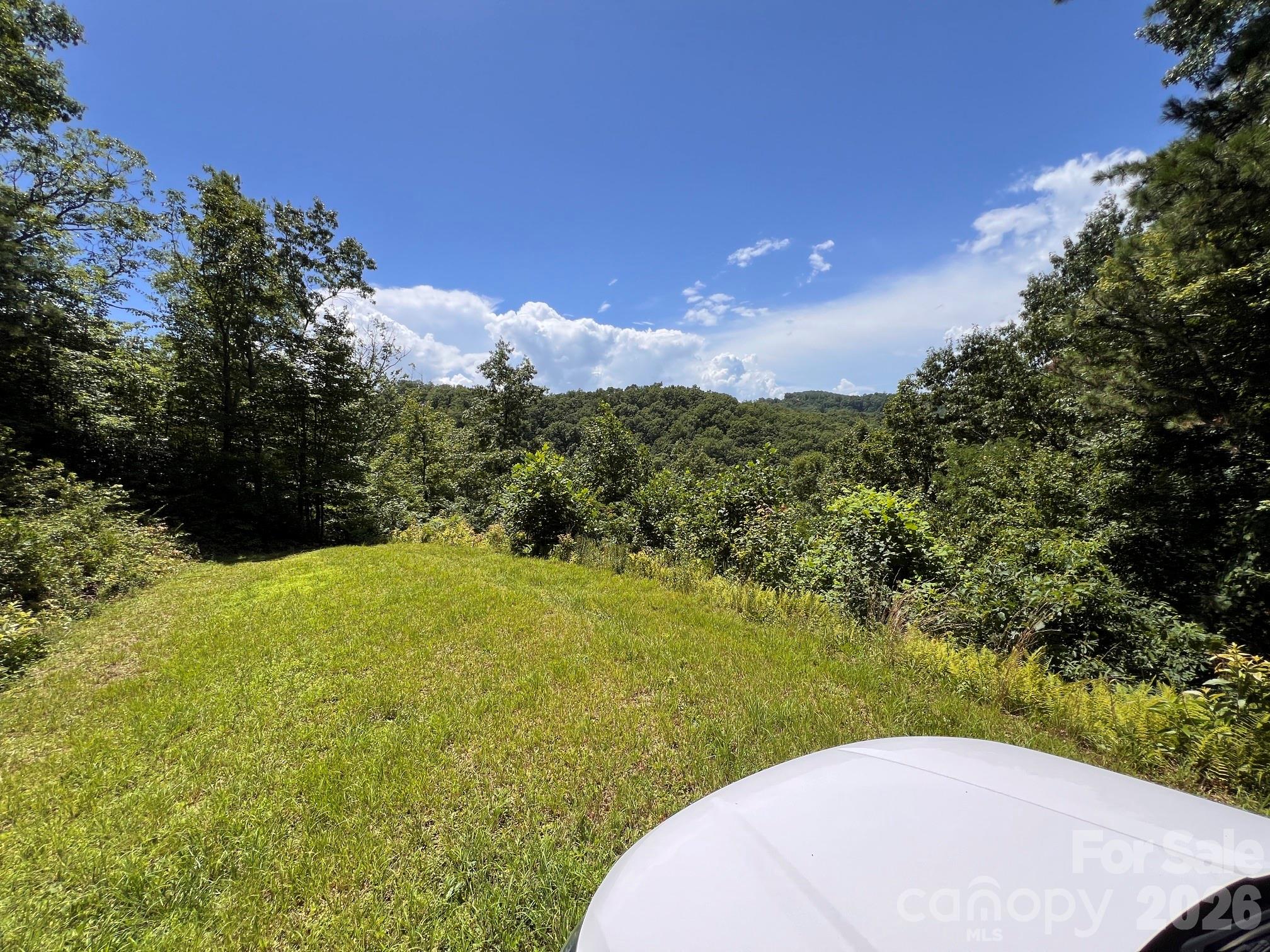 Lot 14 Fontana Ridge Road Bryson City, NC 28713 - Photo 2 of 7 Gallery Image 2