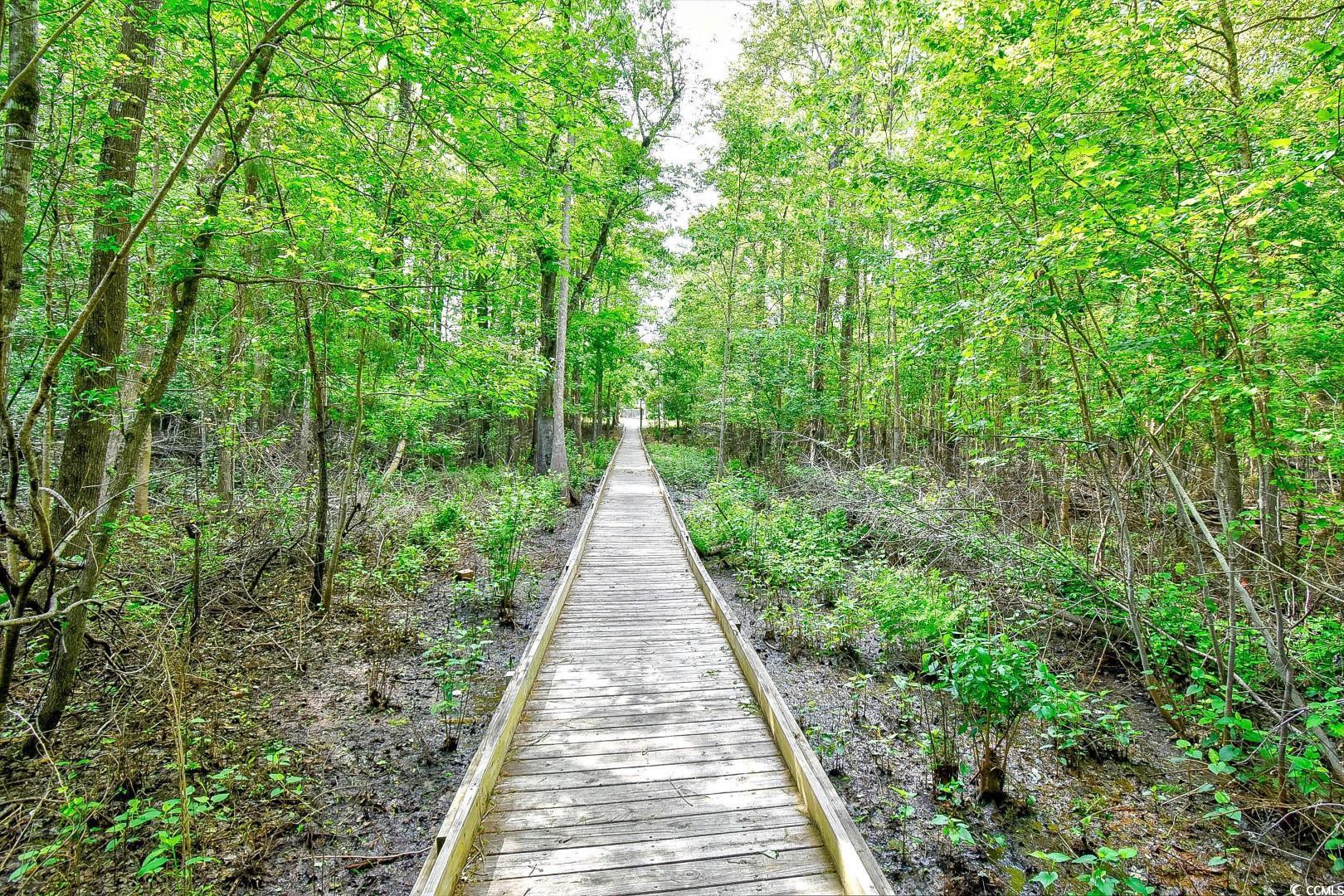 1412 Reid Court Myrtle Beach, SC 29588 - Photo 36 of 39