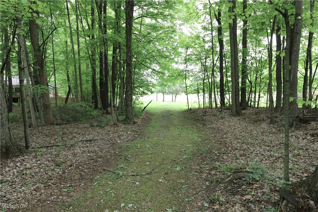6191 Root Road Spencer, OH 44275 - Photo 22 of 26 View of woods
