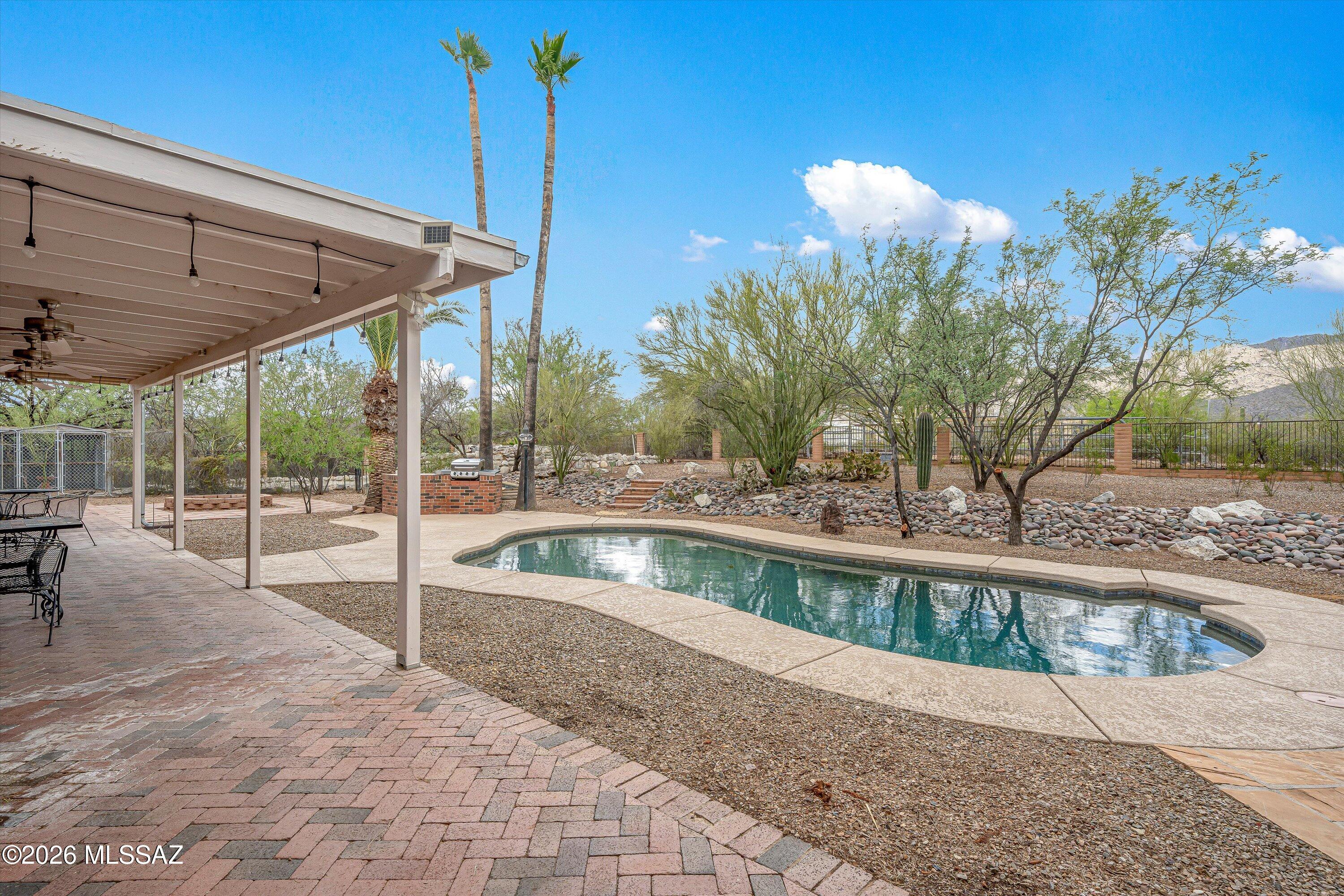 10961 East Roger Road Tucson, AZ 85749 - Photo 6 of 45 Back yard oasis