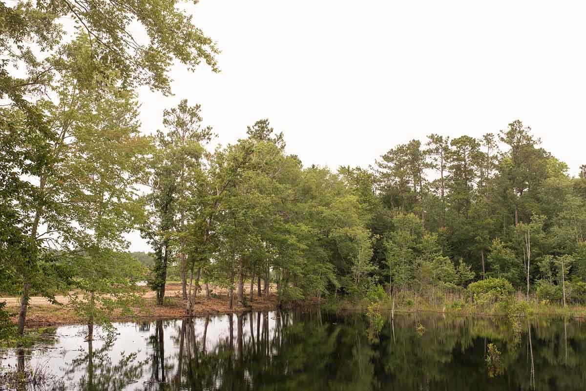 0 Rose Hill Road Georgetown, SC 29440 - Photo 14 of 56 Carraway-Landing-15