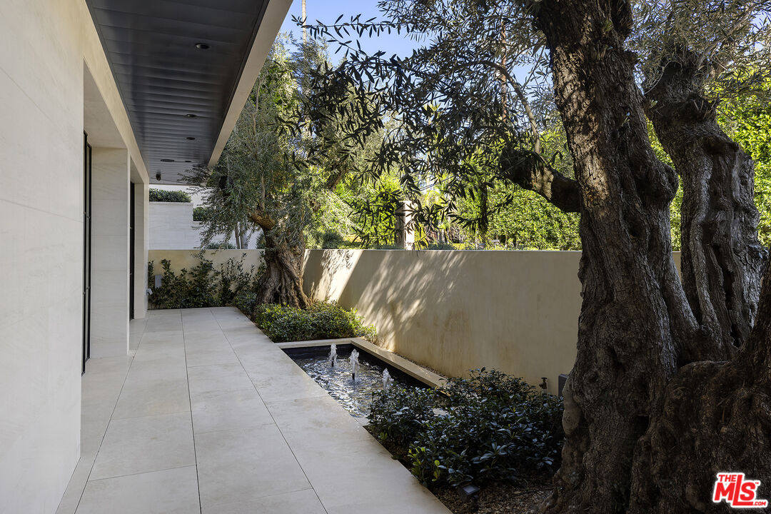721 North Bonhill Road Los Angeles, CA 90049 - Photo 49 of 64 a view of backyard with plants