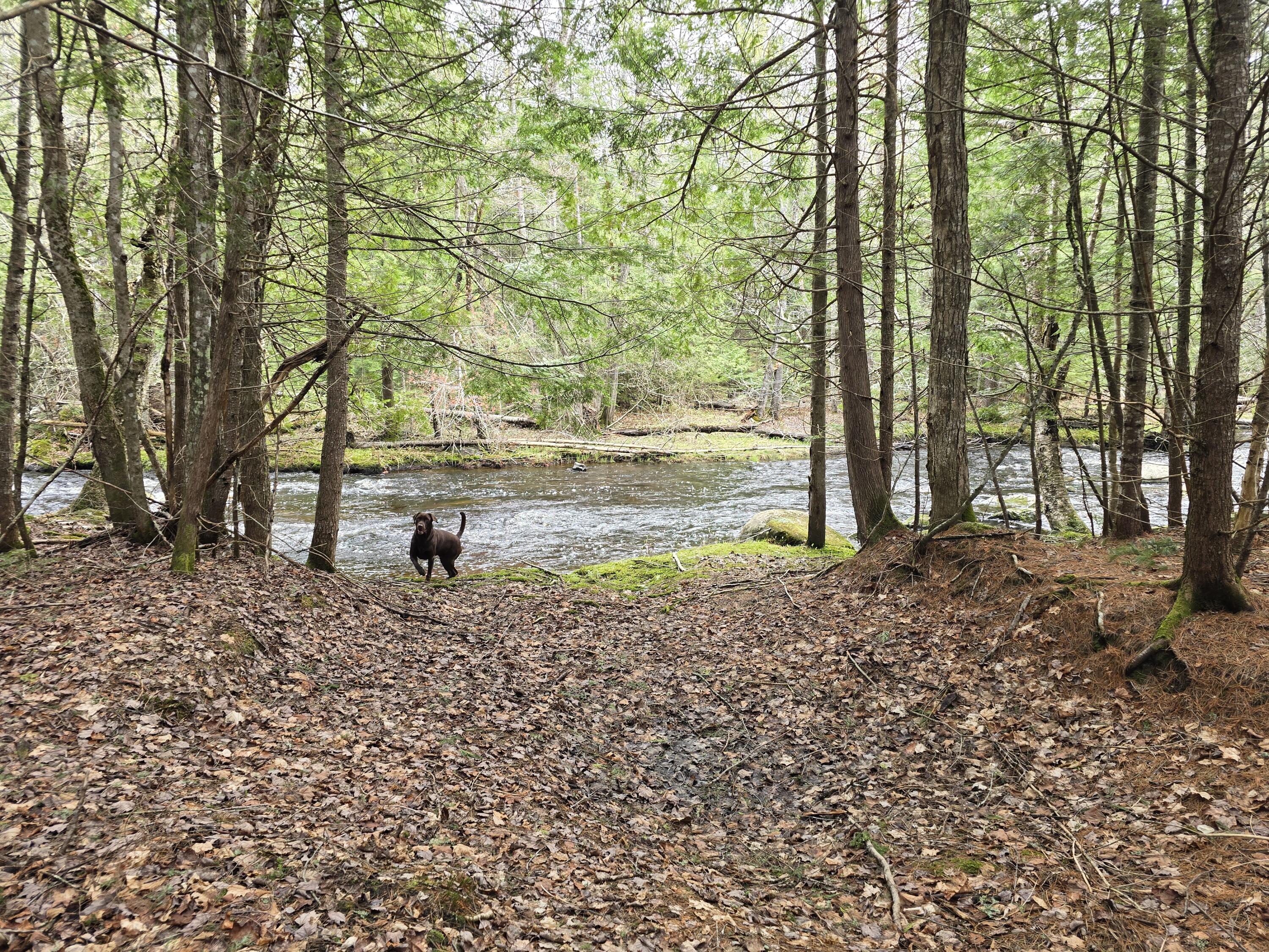 1623 Lyford Road Milo, ME 04463 - Photo 8 of 14 20250508_090803