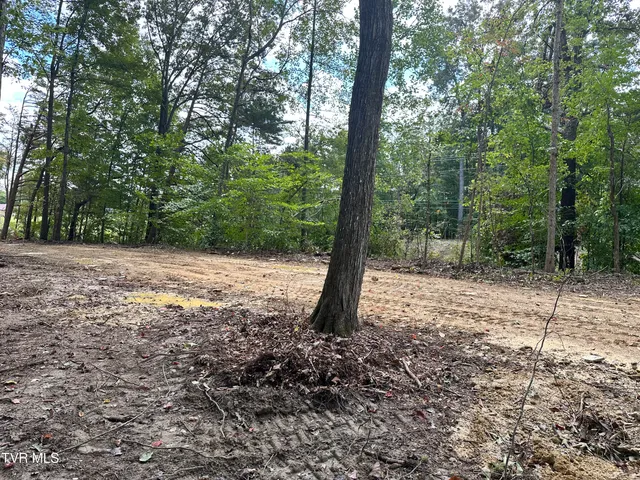 $72,500 | Lot 3 Highway 70s Rogersville Tn 37857, Unit 3, Rogersville, TN 37857