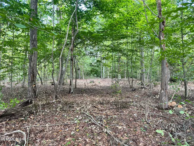 $72,500 | Lot 3 Highway 70s Rogersville Tn 37857, Unit 3, Rogersville, TN 37857