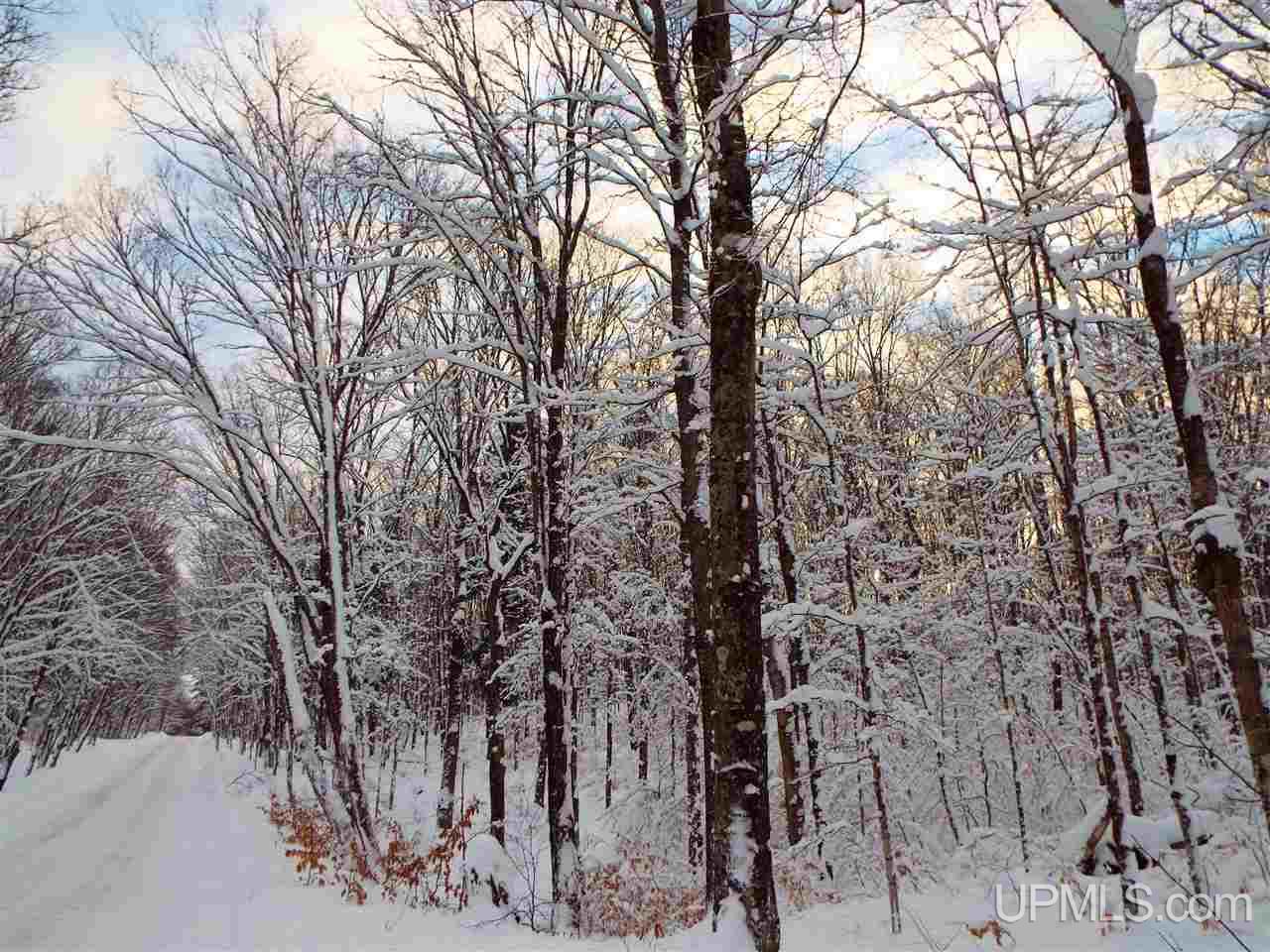 11541 Rams Dam Road Manistique, MI 49854 - Photo 35 of 35 Gallery Image 35