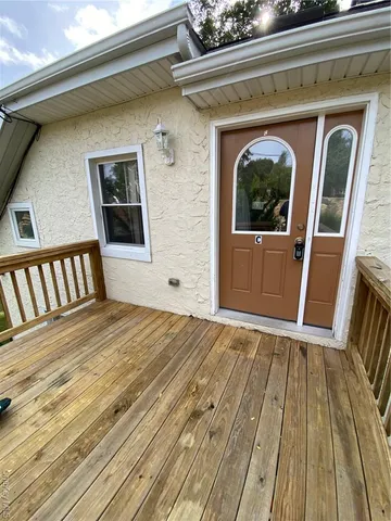 a view of a backyard with plants
