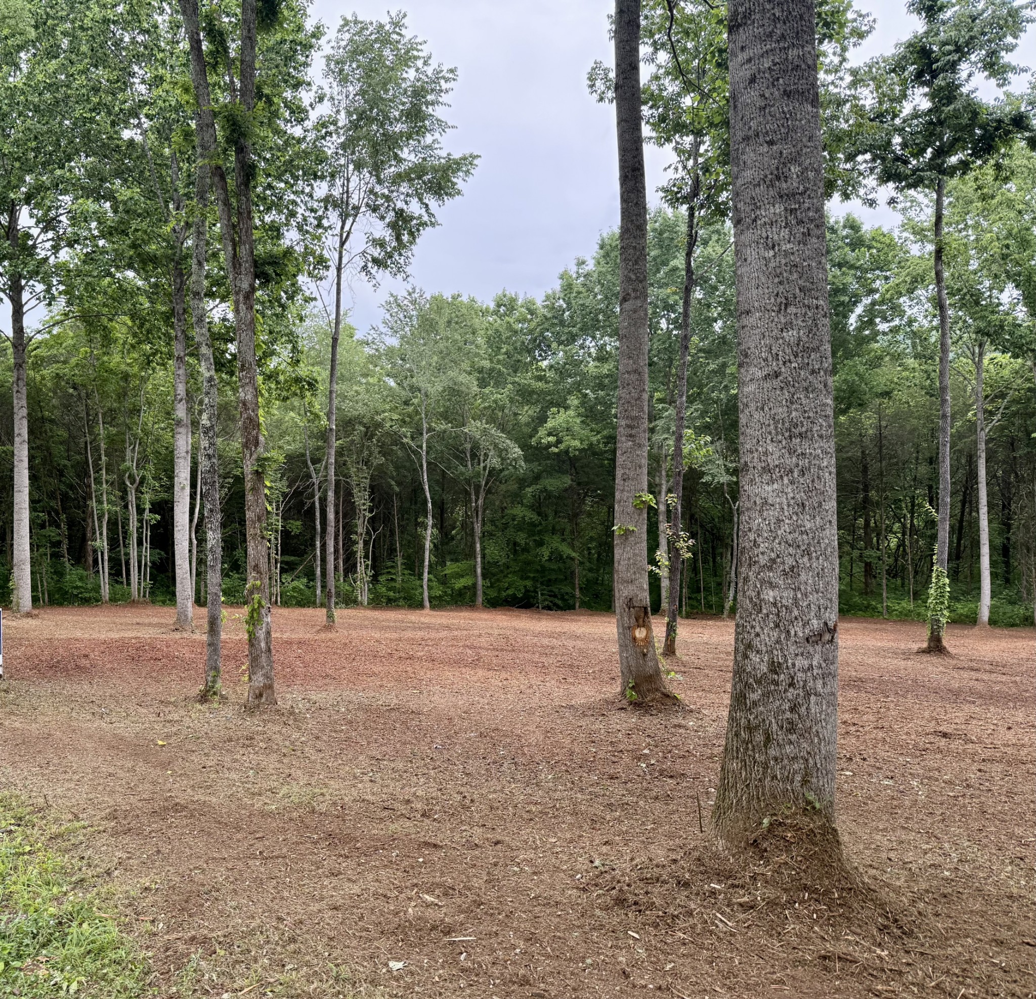 0 Bedford Lake Road Normandy, TN 37360 - Photo 31 of 34