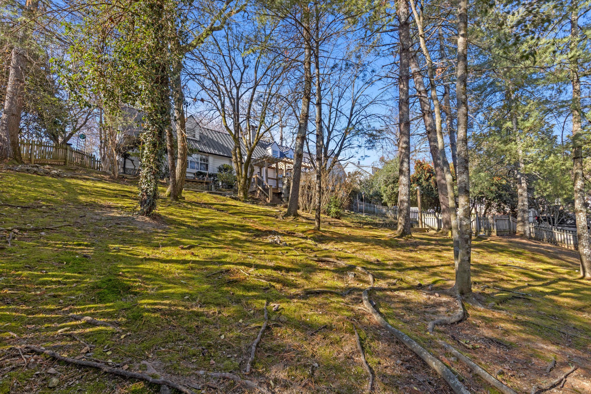 1259 Duane Road Chattanooga, TN 37405 - Photo 59 of 89