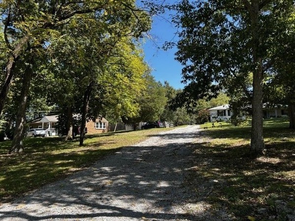 a view of a tree in the middle of a yard