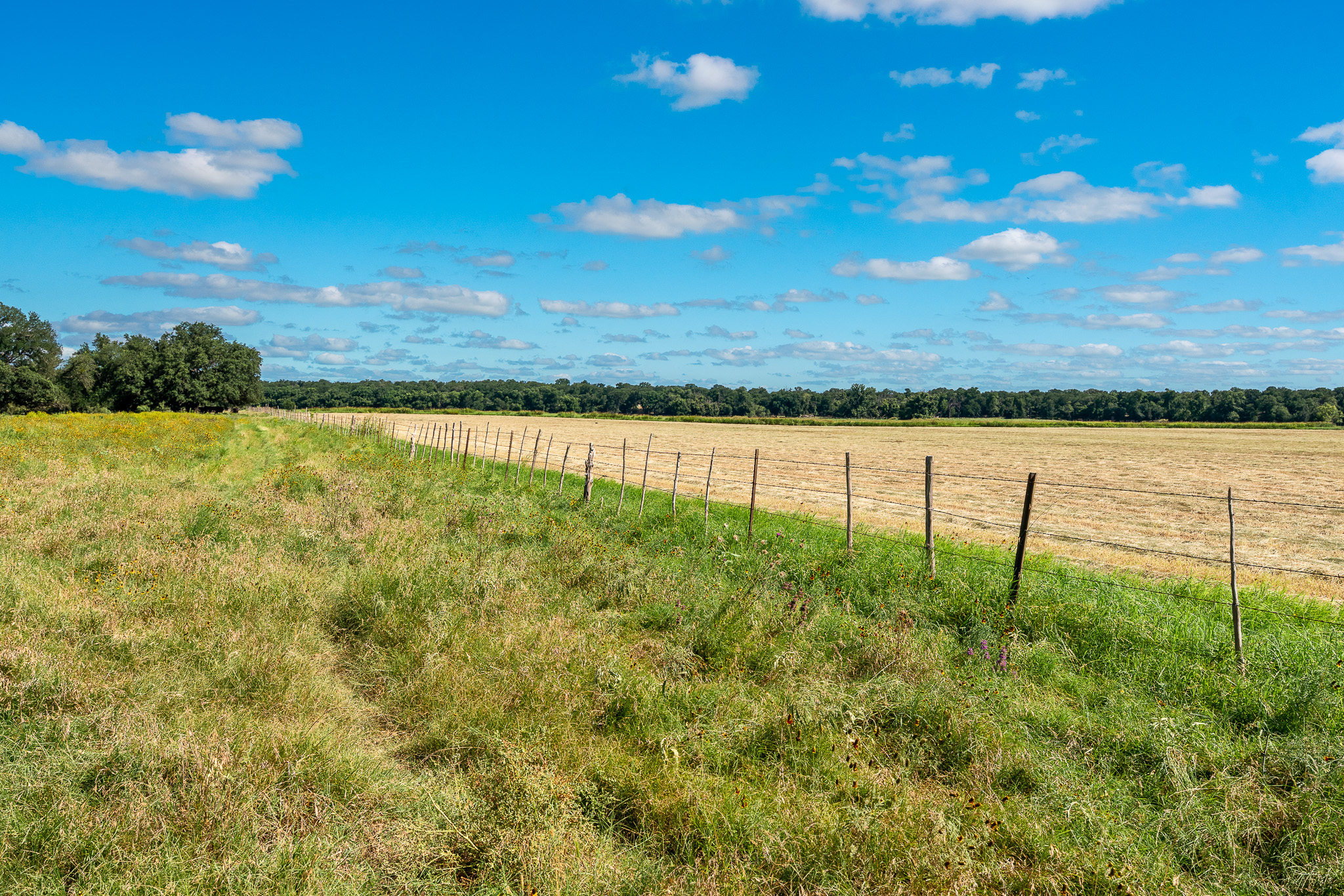 8044 580th Street East Kempner, TX 76539 - Photo 23 of 40 Discover vast open fields stretching to the horizon under an expansive blue sky.