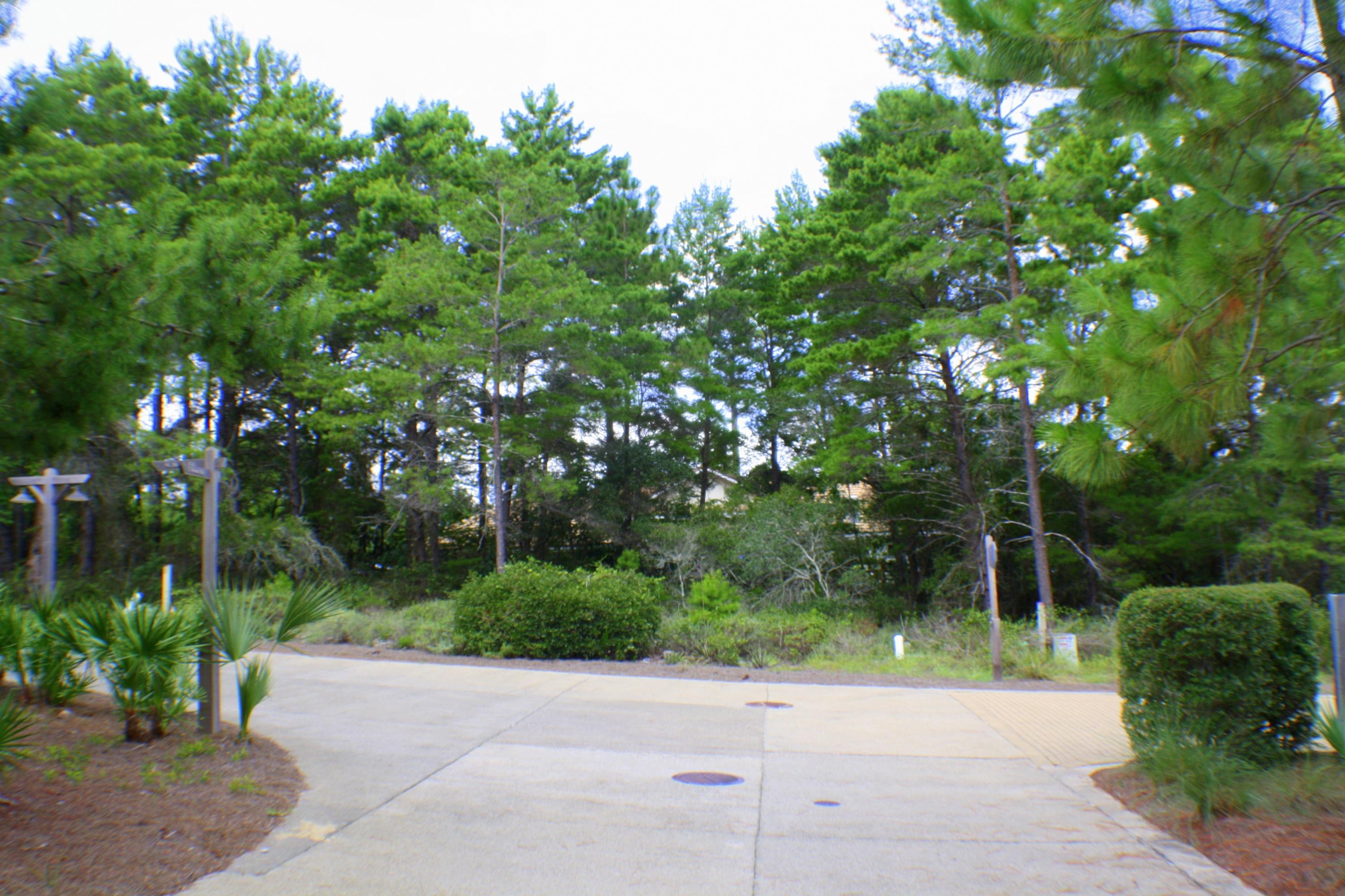 15 North Branch Road Santa Rosa Beach, FL 32459 - Photo 3 of 4 Gallery Image 3